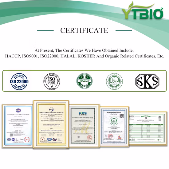 Anti-Aging-Wirkstoff PRO-Xylan, Reinheit 30 %, kosmetischer Rohstoff, kosmetische chemische Inhaltsstoffe