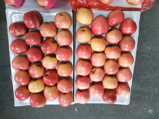 Natürliche Apfelfrucht, frische rote FUJI-Massenfrische Apfelfrucht aus China