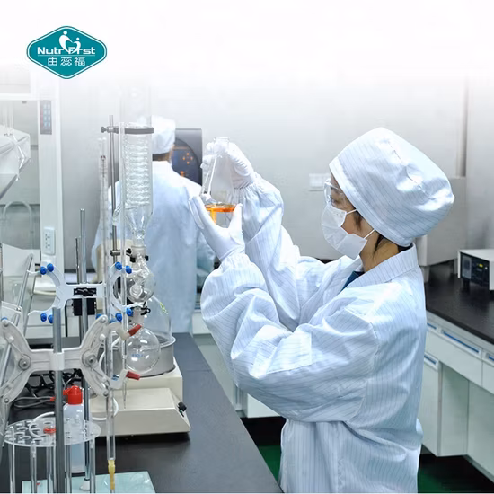 Bio-Löwenmähnenpilz-Pflanzenextrakt, Hericium-Erinaceus-Reishi-Cordyceps-Militaris-Pilz-Kräuterpulver