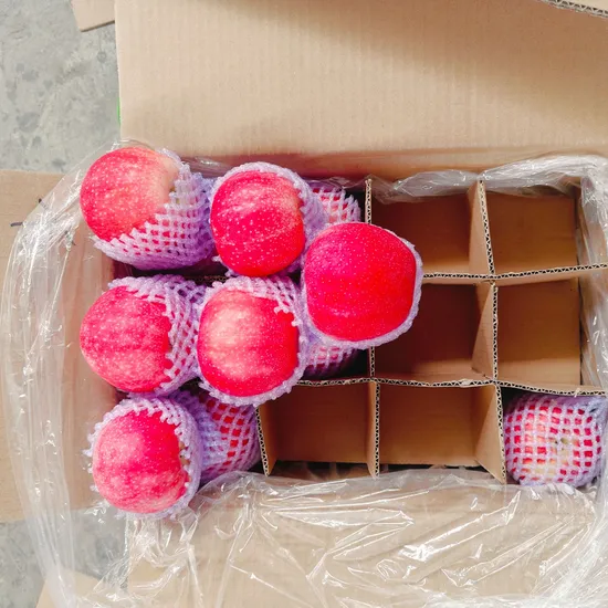 Neue Ernte, frische Früchte, frischer FUJI-Apfel aus China