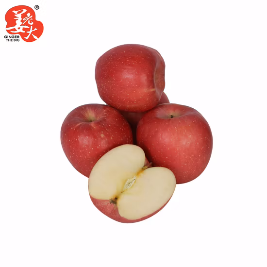 China Fruit Fresh Full Red FUJI Apfel