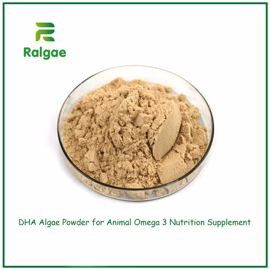 Hochwertige Futterzusätze in Futtermittelqualität Tilapia Fischfutter Clostridium Butyricum Probiotisches Pulver